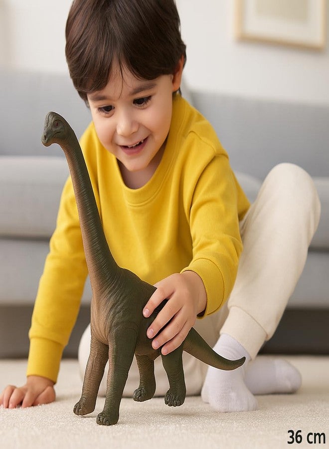 DTR Creation Brachiosaurus Dinosaur Toy ? 36 cm Realistic Long Neck Dino Figure, Green & Grey Color, Soft Rubber Prehistoric Animal Model for Kids - Image 3